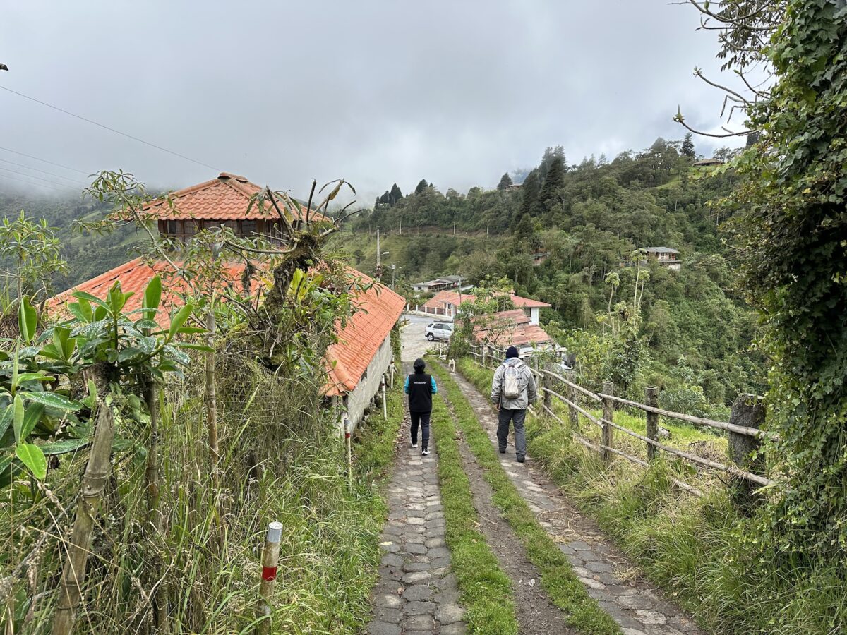 NextImg:Big Flavors in a Cloud Forest: Discovering Ecuador’s Yunguilla