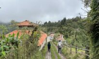 Big Flavors in a Cloud Forest: Discovering Ecuador’s Yunguilla