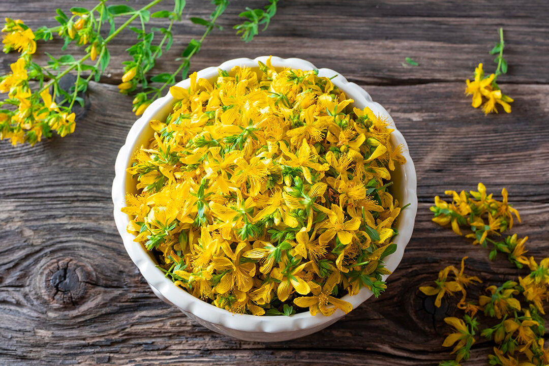 St. John’s Wort: A Nonaddictive Wonder ‘Antidepressant’ With Fewer Side Effects
