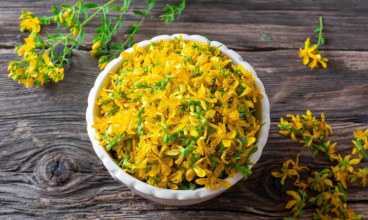 St. John’s Wort: A Nonaddictive Wonder ‘Antidepressant’ With Fewer Side Effects