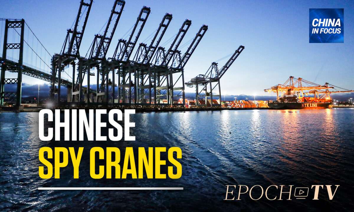 NextImg:Pentagon Worried About Chinese Spy Cranes
