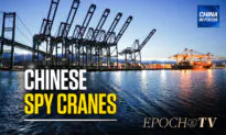Pentagon Worried About Chinese Spy Cranes