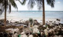 With Pails and Mugs, Philippine Residents Clean up Oil Spill