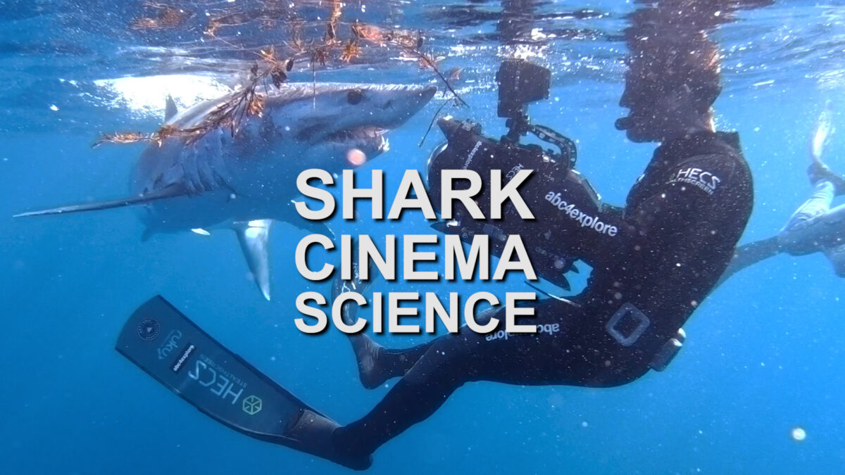 NextImg:Shark Cinema Science | Documentary