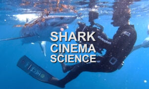 Shark Cinema Science | Documentary