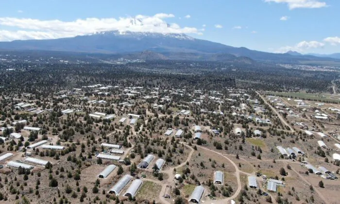 There are roughly 5,000 greenhouses illegally cultivating marijuana in Siskiyou County, Calif., according to the county's Sheriff's Department in March 2023. (Courtesy of the Siskiyou County Sheriff's Department)