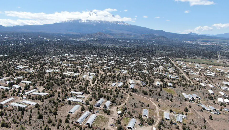 There are roughly 5,000 greenhouses illegally cultivating marijuana in Siskiyou County, Calif., according to the county's Sheriff's Department. (Courtesy of the Siskiyou County Sheriff's Department)