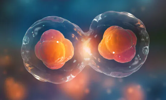 Field of Feelings: How Our Thoughts Can Be Infectious Too