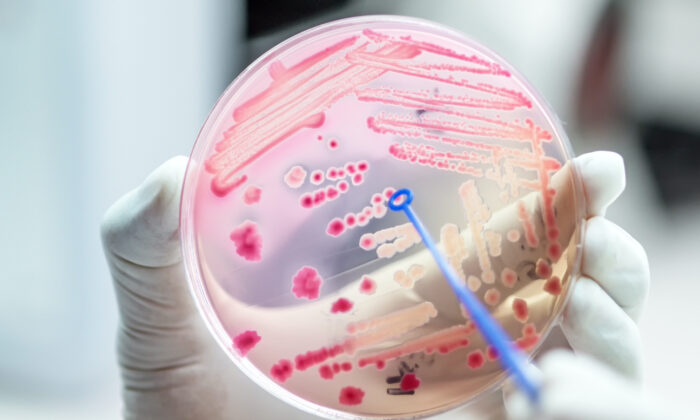 Antibiotic-Resistant Threat Grows, Experts Sound Alarm