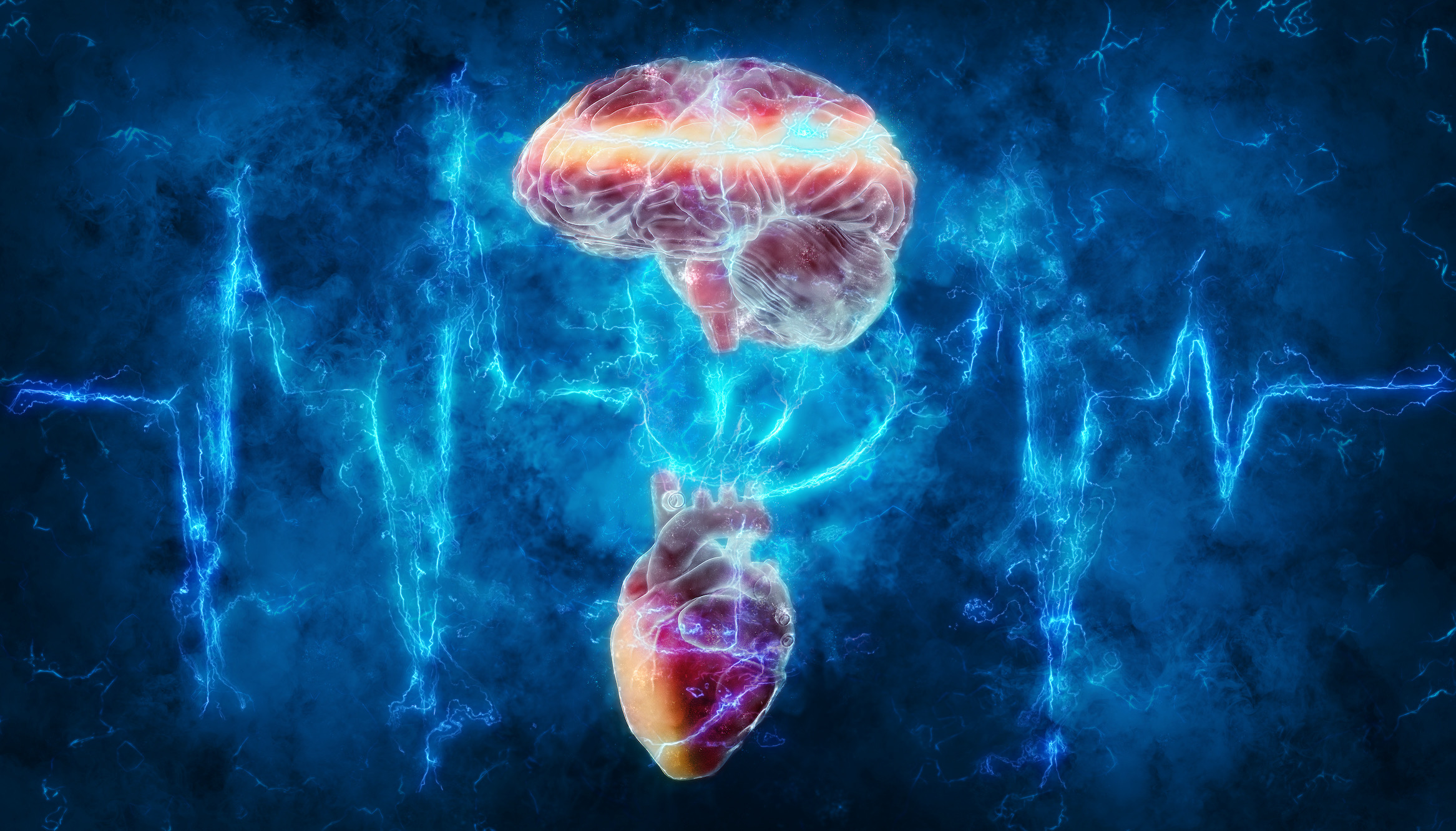 Atrial Fibrillation, A Common Heart Problem May Lead to Dementia: Studies - Vimarsana News