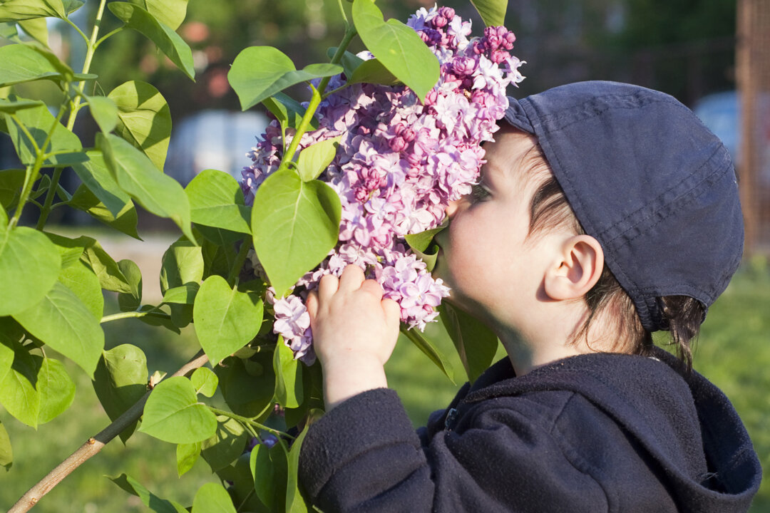 On your next trip, encourage family members to tune in to their senses. (Pavla Zakova/Dreamstime/TNS)