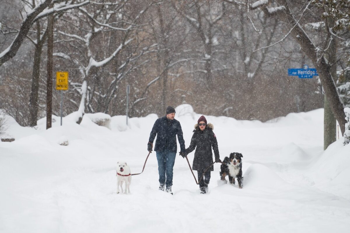 NextImg:Between Four and 20 Centimetres of Snow Expected for Parts of Southern Ontario