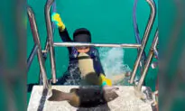 VIDEO: 8-Year-Old Boy Is Bitten by a Baby Shark During a Spearfishing Trip With His Dad
