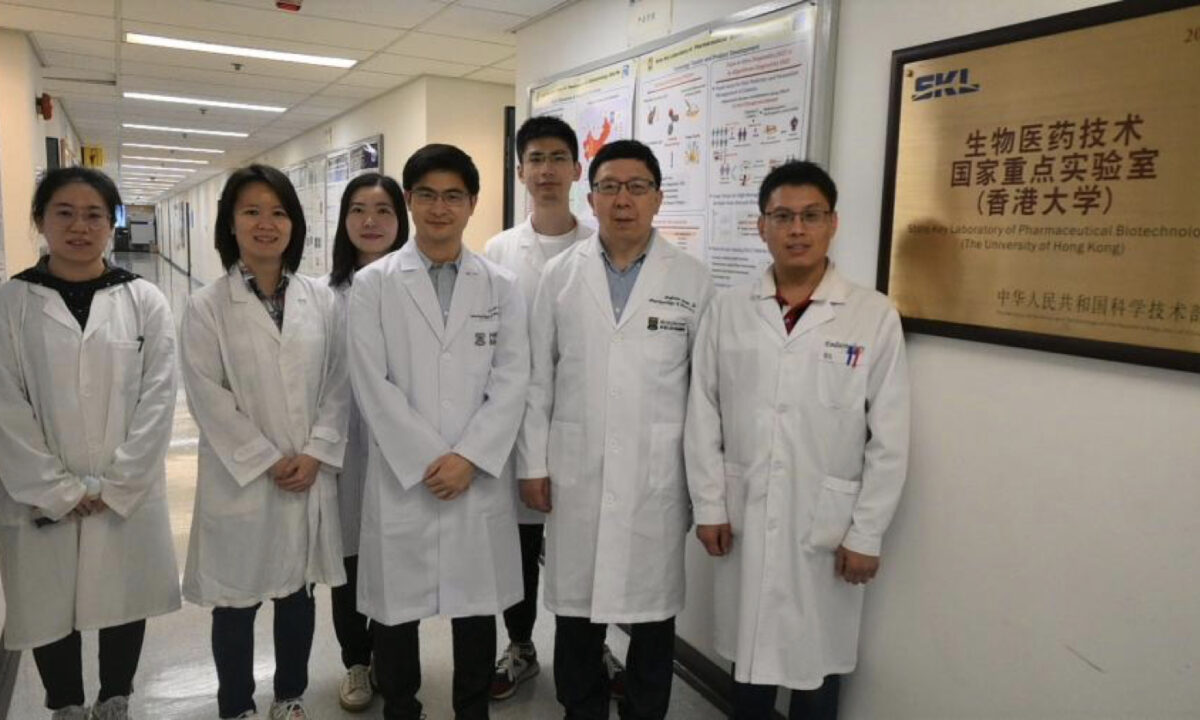 NextImg:Innovative Drug Delivery System Holds Promise for Treating Obesity and Its Complications