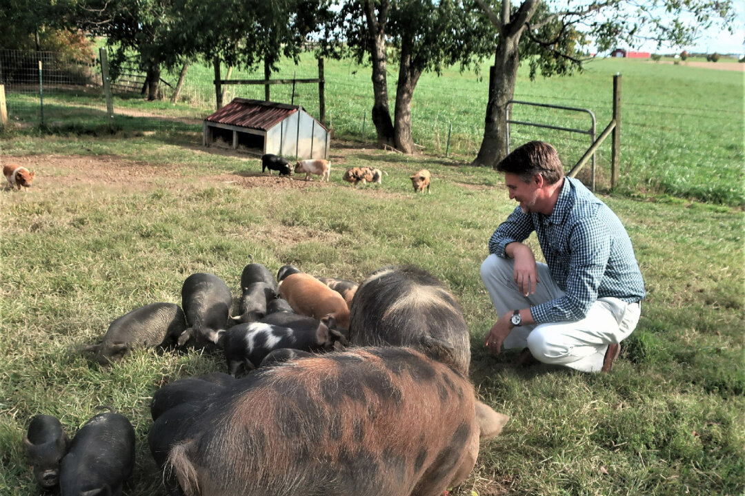 The Geraghty Micro Farm in Winchester, Virginia, is one of several that provide local produce and meat. (Courtesy of Victor Block)