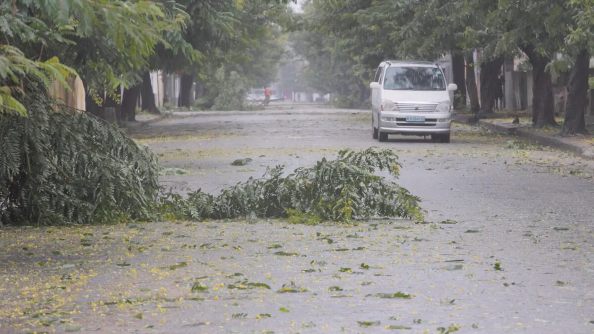 Fallen branches on a street as Storm Freddy is due to hit Mozambique again, in Quelimane, Zambezia, Mozambique, on March 11, 2023, in this screengrab obtained from a video. (UNICEF Mozambique/2023/Alfredo Zuniga/Handout via Reuters)
