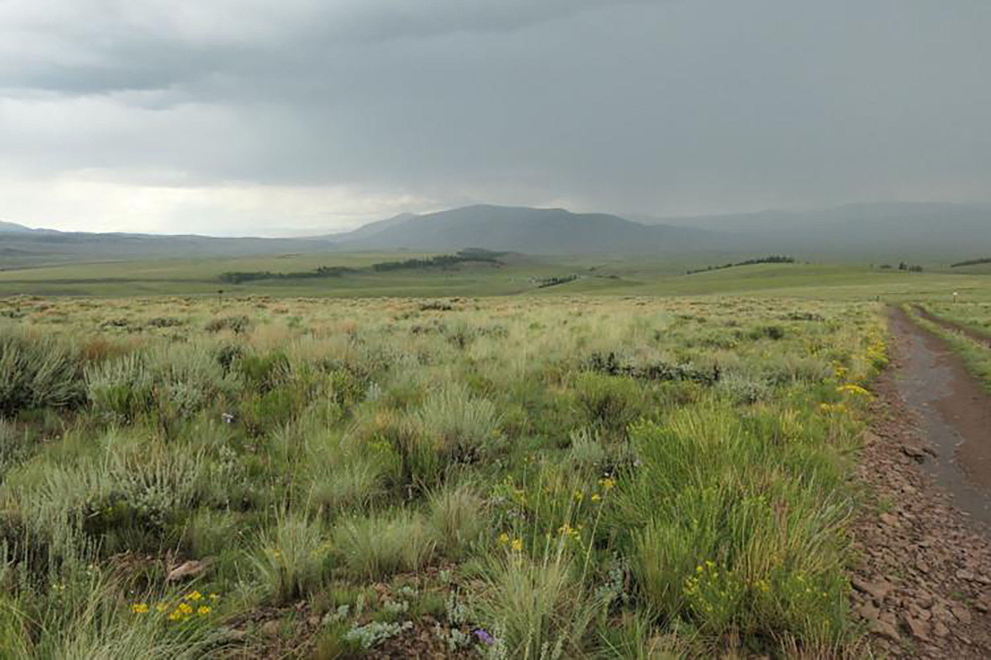 A scene India Wood captured during her perilous walk around Colorado's San Juan Mountain. 