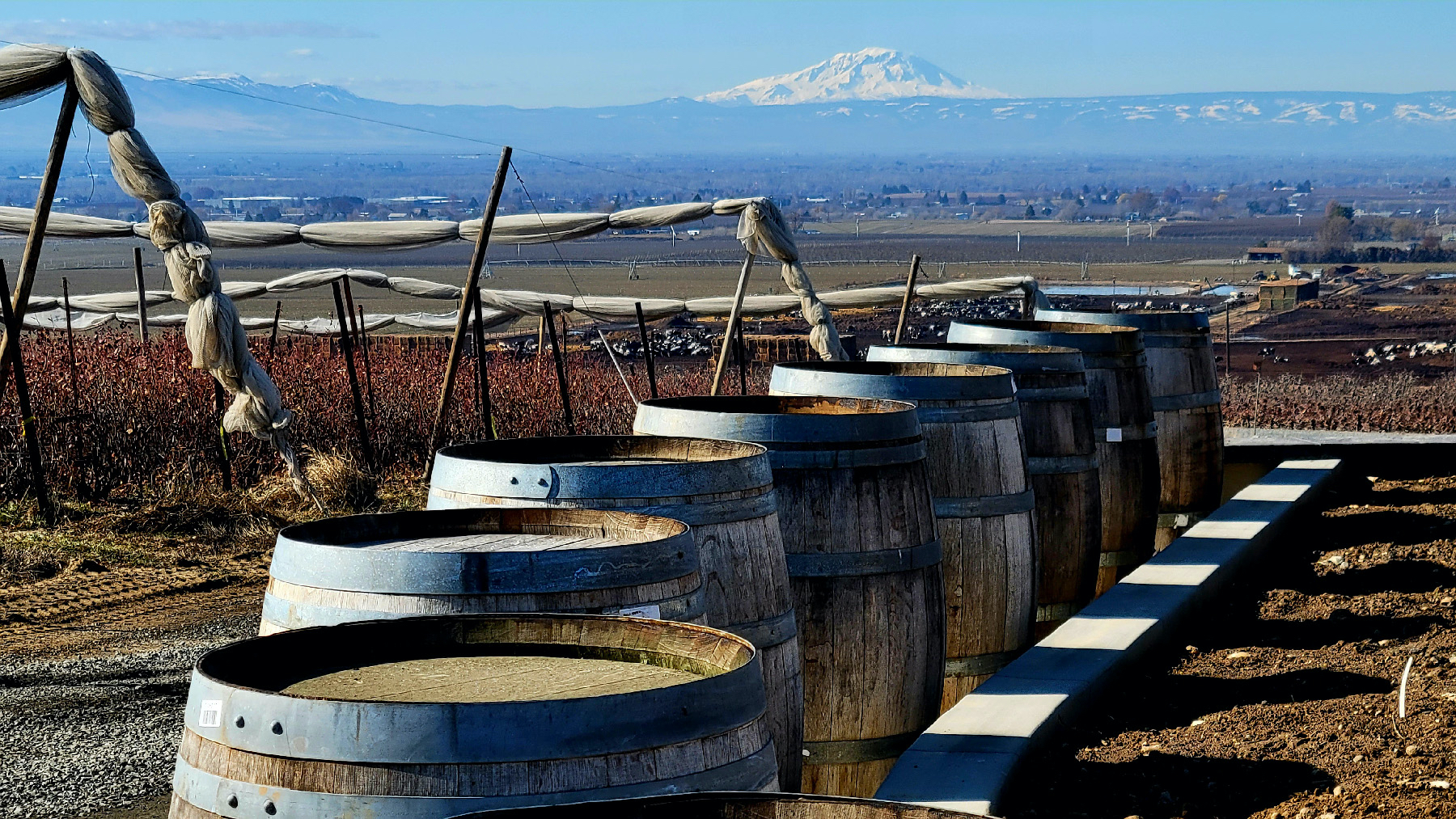 The Yakima Valley, with Mount Rainier in the distance, is one of Washington state’s fastest-growing wine regions.