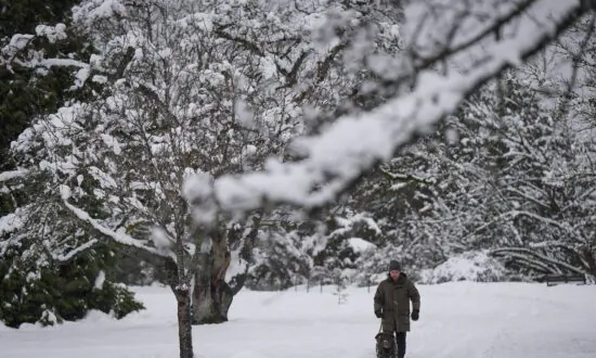 South BC Highway Passes See More Snow, Avalanche Canada Urges Caution as Storm Hits