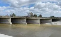 Bystander Rescues Boy Who Fell into Santa Ana Riverbed