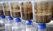 Alberta Regulator Confirms Potential Oilsands Toxins in Small Fish-Bearing Waterbody