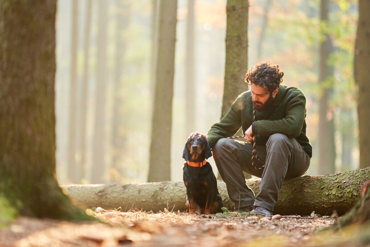NextImg:Science-Backed Benefits of Forest Walking That Will Surprise You