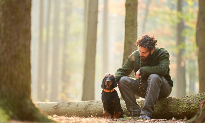 Science-Backed Benefits of Forest Walking That Will Surprise You