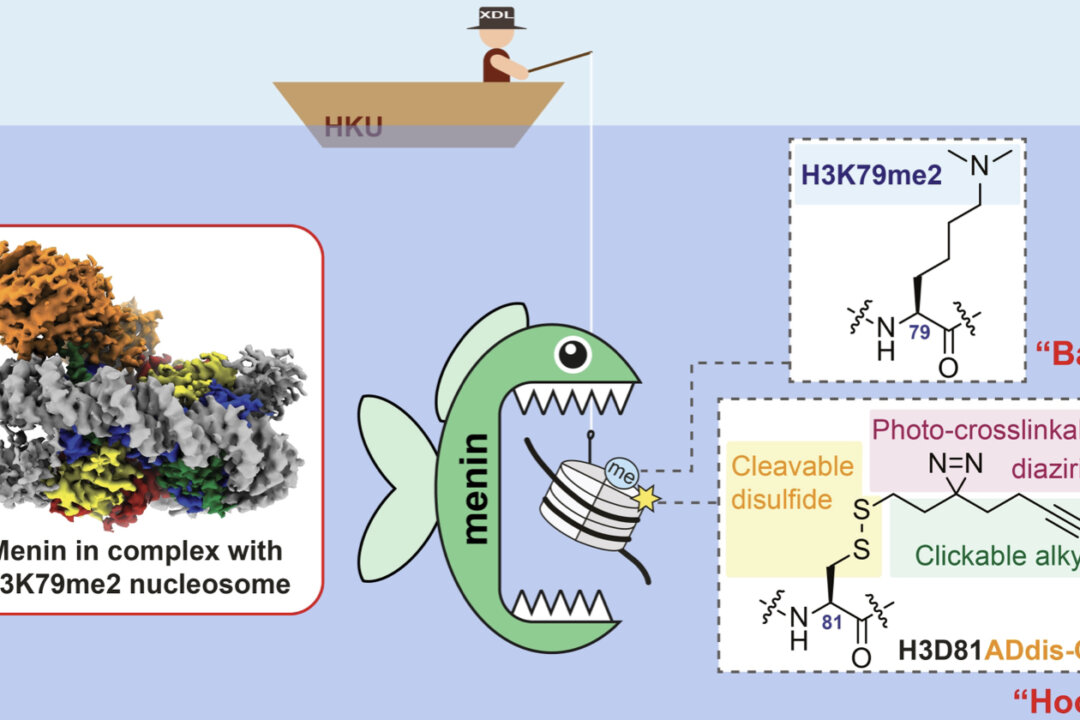 Histone Mark Decoded: Key to Gene Regulation in Cancer and Anti-Cancer Drug Development