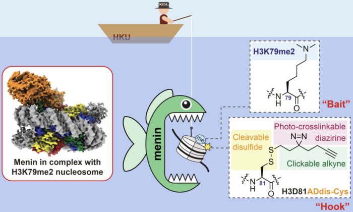 Histone Mark Decoded: Key to Gene Regulation in Cancer and Anti-Cancer Drug Development