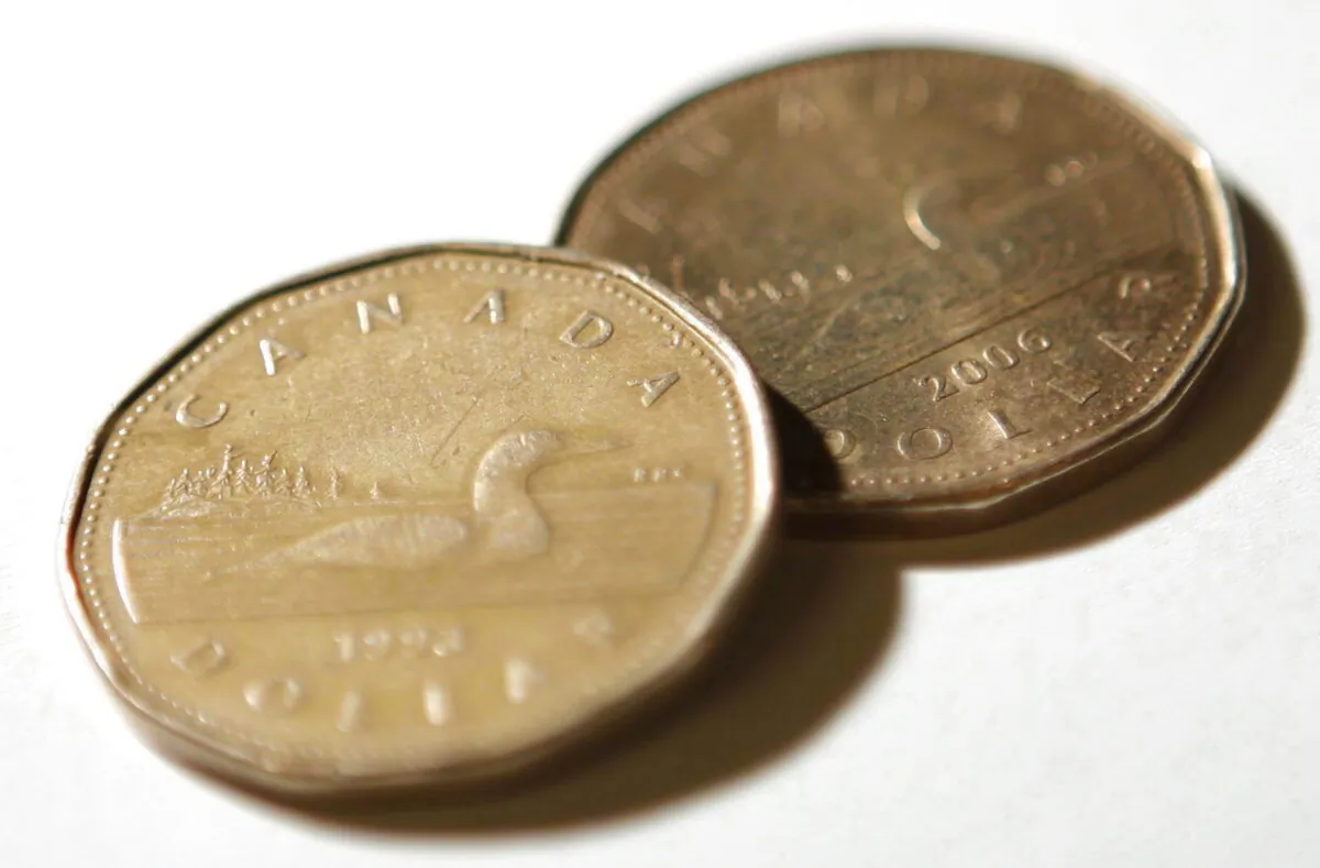 A file photo of Canadian dollar coins, or Loonies. (Sean Kilpatrick/The Canadian Press)