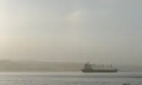 Rivers in Parts of Ontario and Quebec Have Worst Water Quality in Country: Environment Canada