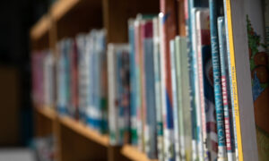 No One Is Banning Books in Your School Library