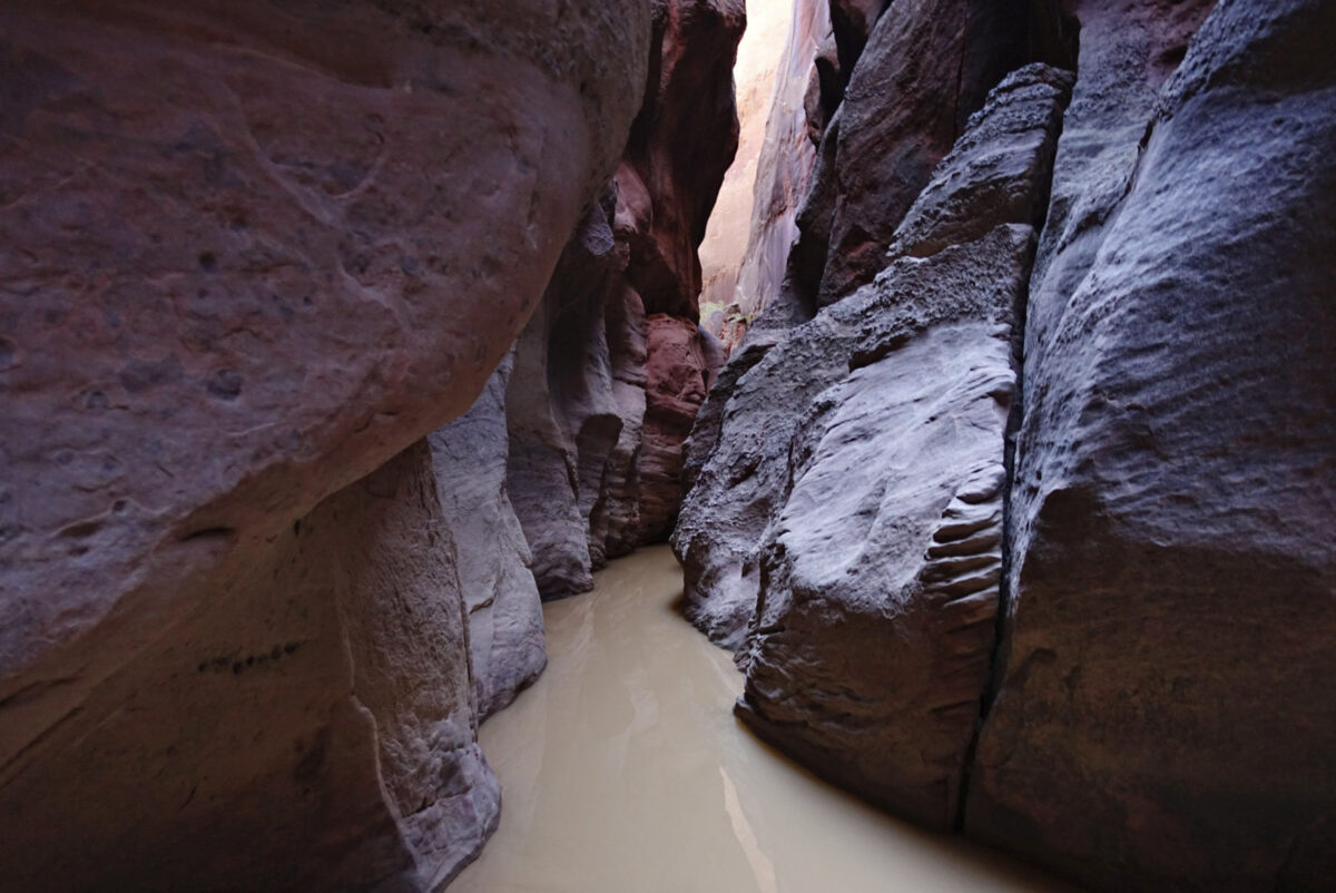 NextImg:2 Dead After Canyons Flood Near Utah–Arizona Line