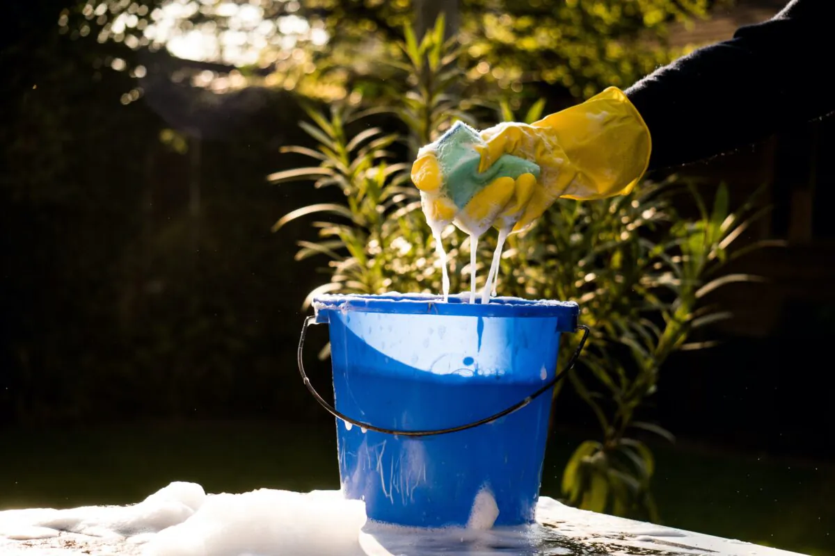 Mary Hunt offers DIY recipes for everything from lawn food to a powerful outdoor furniture cleaner. (Pepijn van Bakel/Shutterstock)
