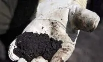 Federal and Alberta Governments to Study Oilsands Tailings Leak Communication