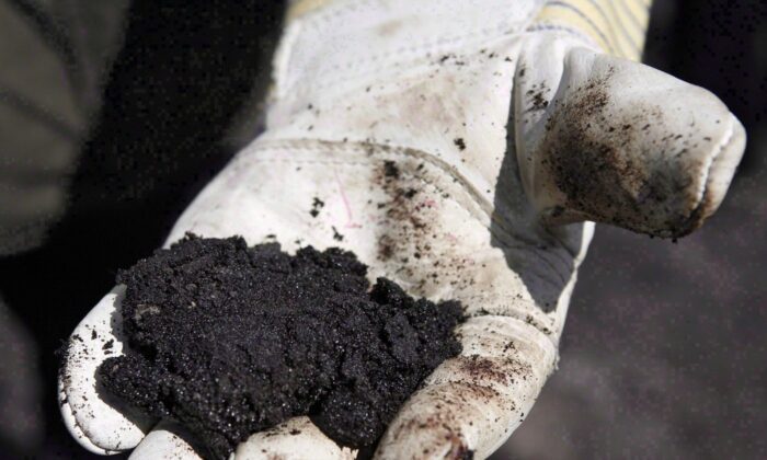 An oil worker holds raw oilsands near Fort McMurray, Alta., on July 9, 2008. (The Canadian Press/Jeff McIntosh)