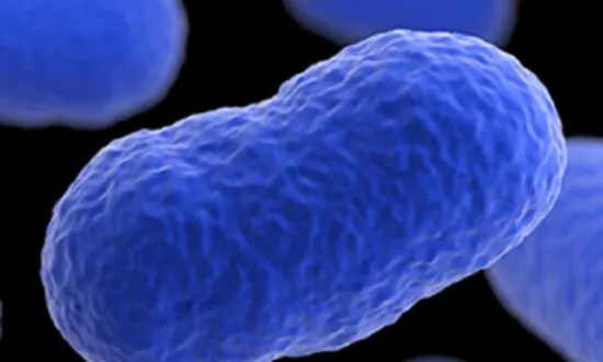 Mysterious Listeria Outbreak Across US Raising Concerns, No Source Identified Yet, Says CDC