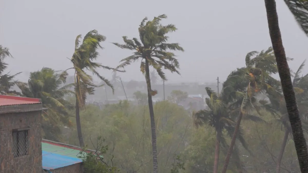 Branches of trees sway as cyclone Freddy hits, in Quelimane, Zambezia, Mozambique, on March 12, 2023. (UNICEF Mozambique/2023/Alfredo Zuniga/Handout via Reuters)