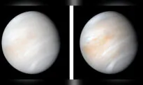 New Analysis Reveals Dynamic Volcanism on Venus
