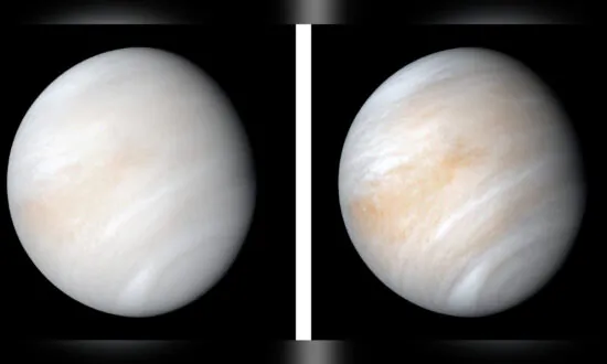 New Analysis Reveals Dynamic Volcanism on Venus