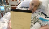 Toy Hall of Famer Will Remain on Life Support for Now: Judge