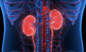 Kidney Disease: A Silent Killer With 7 Early Symptoms