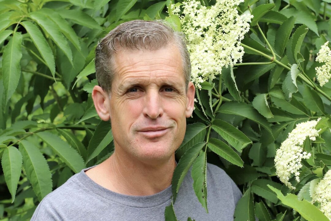 Why Forage? to Eat ‘The Best Stuff You’ve Ever Had,’ Says Sam Thayer ...