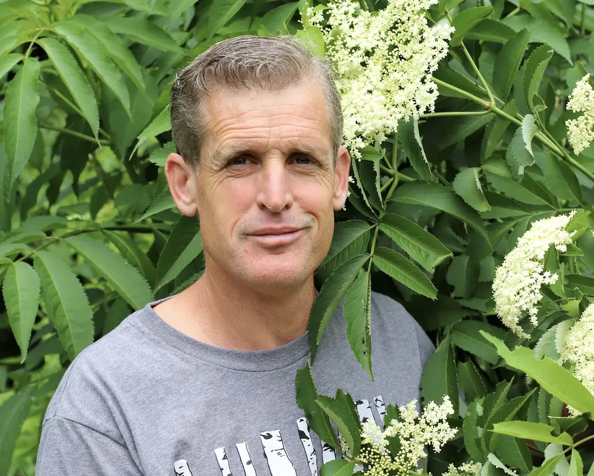 Sam Thayer
among blooming
elderflowers. (Courtesy of Sam Thayer)