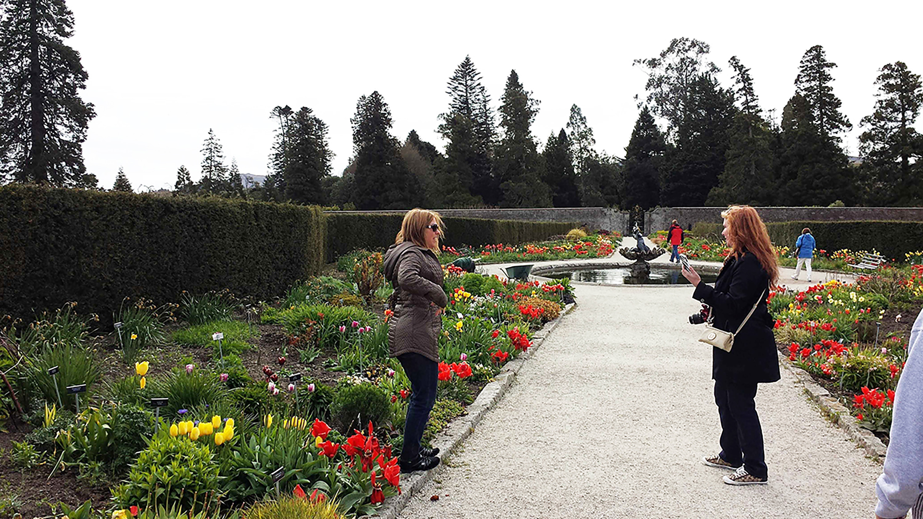 people in a garden