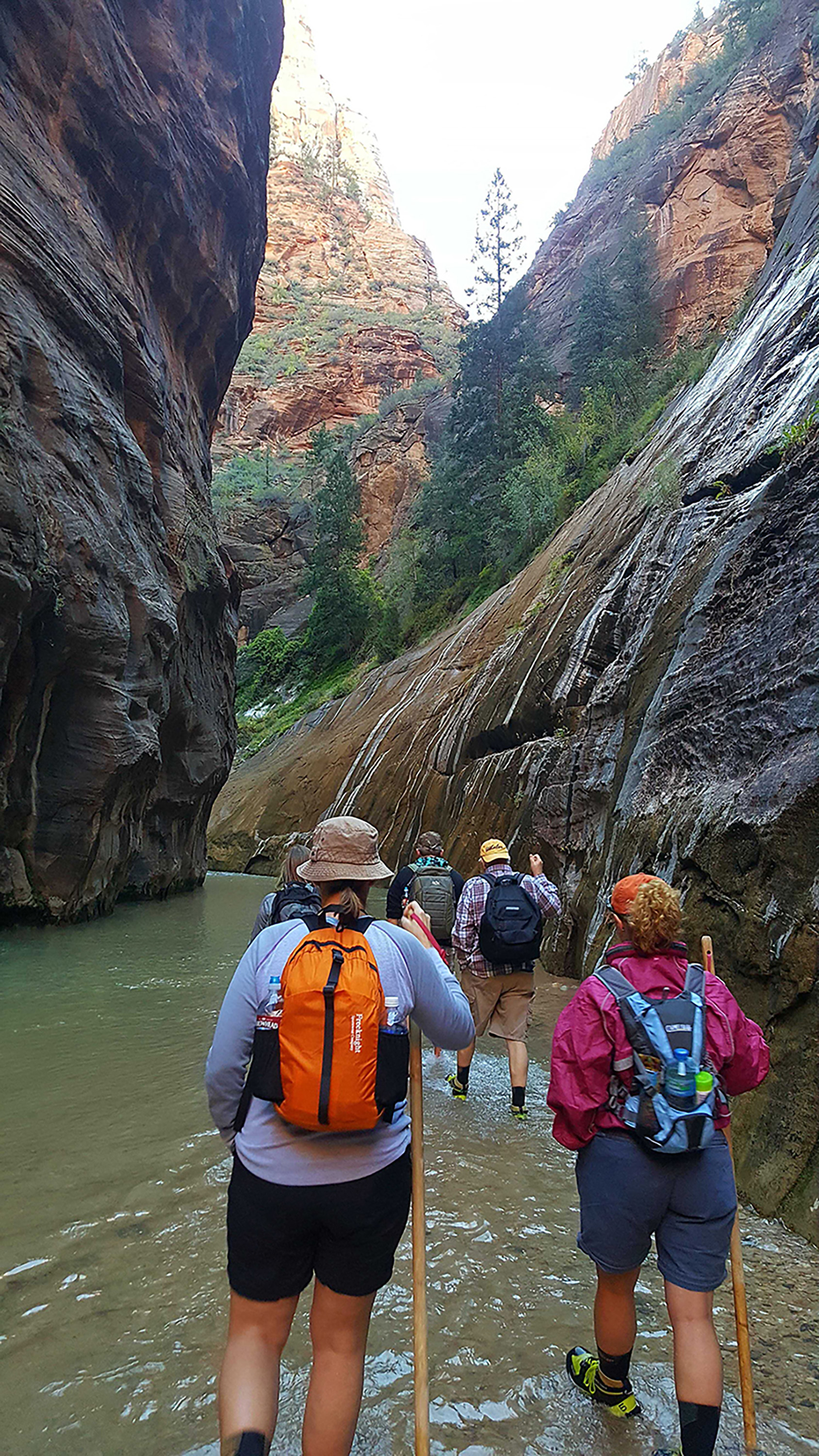 people on a hike