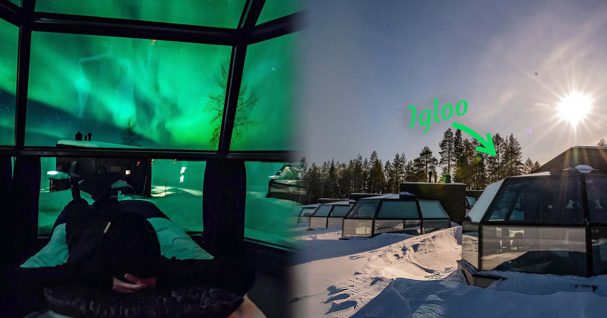 NextImg:Wildlife lover builds 'glass igloos' in arctic to view northern lights from the comfort of your bed