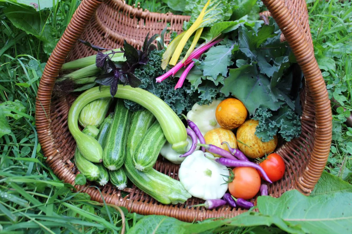 (Courtesy of Taylor Kurtz/ Annabel’s Victory Garden, Matt Powers, the Food for Everyone Foundation)