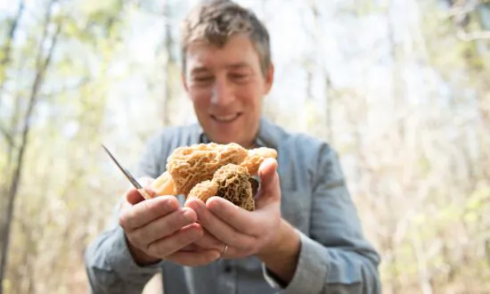 Why I Forage: Langdon Cook, the Outdoorsman