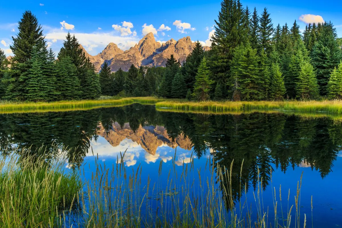 Jackson Hole, Wyoming, is one of the locations that is ideal for a family fly-fishing adventure. (Dreamstime/TNS)